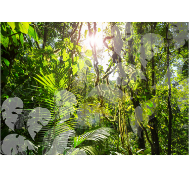 Lush Greenery Retreat nature wall mural - TenStickers