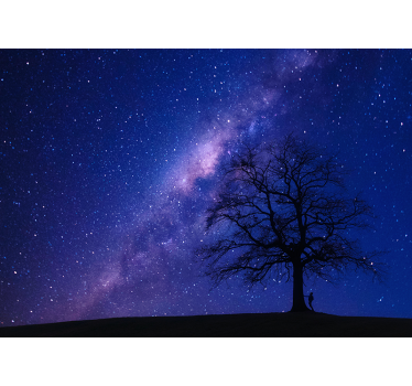 Tree at night 3d mural wallpaper - TenStickers