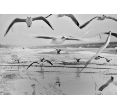 Seagulls Over Ocean animal wall mural - TenStickers