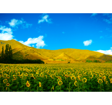 Spring landscape with fields photo mural - TenStickers