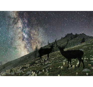 Starry Night Deers forest wall mural - TenStickers