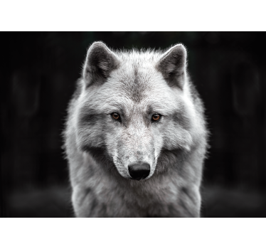 White wolf mural wallpaper - TenStickers