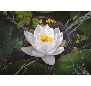 White and yellow Lotus mural wallpaper - TenStickers