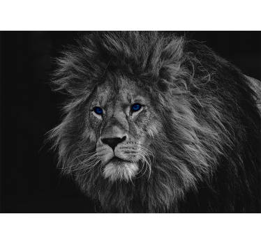 Blue eyes lion  lion murals - TenStickers