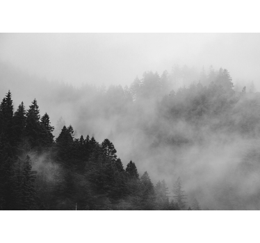Black and white Misty forest  forest mural wallpaper - TenStickers