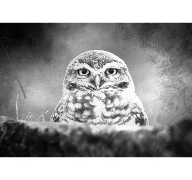 Majestic Owl Portrait animal wall mural - TenStickers