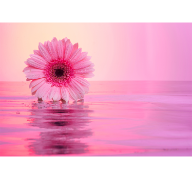 Pink Flower Reflection poppy wall mural - TenStickers