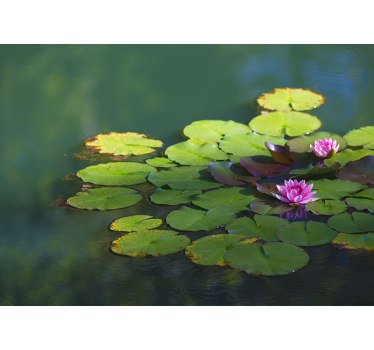 Two lotus flowers mural wallpaper - TenStickers