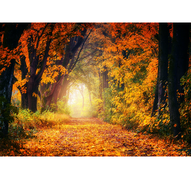 Autumn colorful forest mural wallpaper - TenStickers