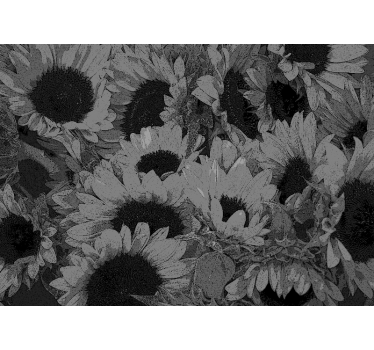 Black and white Sunflower mural wallpaper - TenStickers