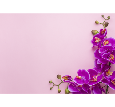 Orchid mural orchid floral design - TenStickers