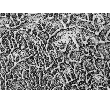 Texture wall mural organic texture design - TenStickers