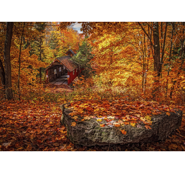 Autumn landscape with fallen leaves forest mural wallpaper - TenStickers