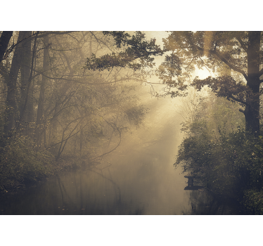 Tall green trees with solar flare forest mural wallpaper - TenStickers