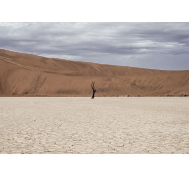 Mountain wall mural desert landscape view - TenStickers