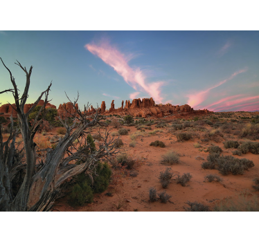 Sunset landscape desert mural wallpaper - TenStickers