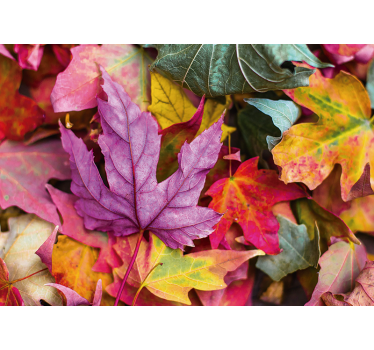 Flower mural with vibrant leaf patterns - TenStickers