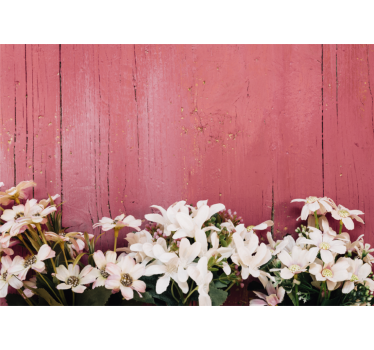 Daisy flowers on old wooden plank mural wallpaper - TenStickers
