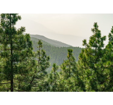 Nature wall mural lush green landscape - TenStickers
