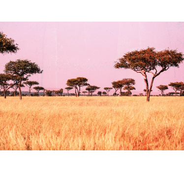 Original African Savannah landscape murals - TenStickers