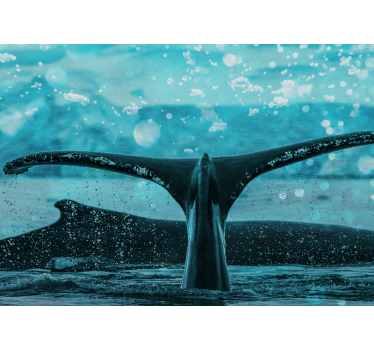 Animal wall mural whale fluke splash - TenStickers