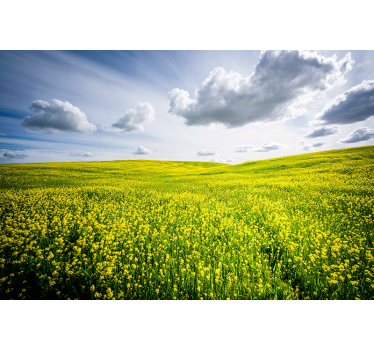 Clouds and field aesthetic photography nature murals - TenStickers