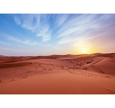 Desert mural golden desert sunset - TenStickers