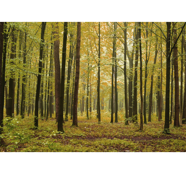 "Cottagecore" forest nature murals - TenStickers