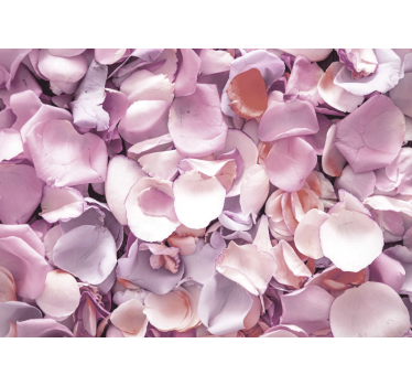 Flower mural rose petal detail - TenStickers