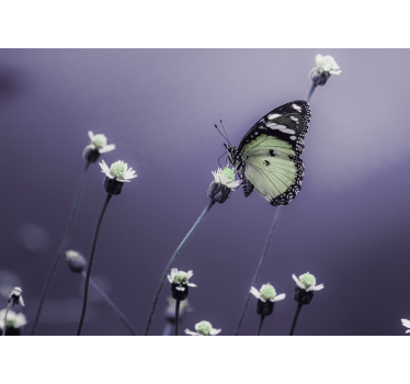 Flower mural butterfly on flowers - TenStickers