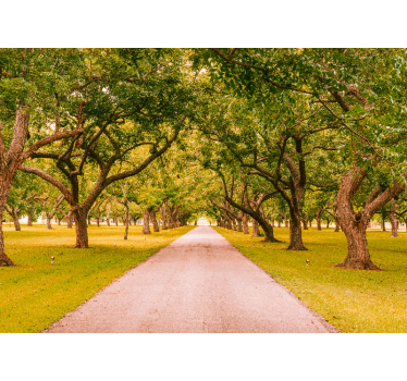 Row yellow and green park Wallpaper Photo - TenStickers