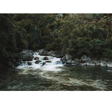 Serene River Scene nature wall mural - TenStickers