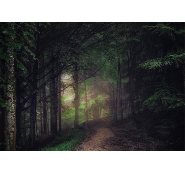 Old-growth Forest tree wall mural - TenStickers