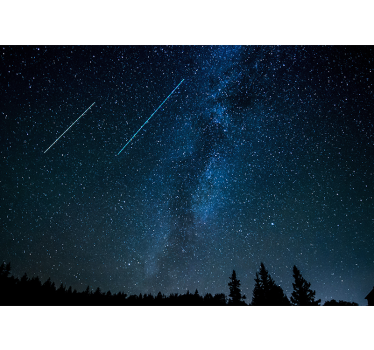 Beautiful shooting star landscape  night sky wall mural - TenStickers