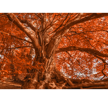 Big beautiful autumn tree forest mural wallpaper - TenStickers