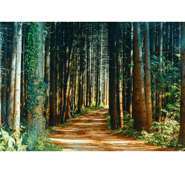Beautiful nature path tree wall mural - TenStickers