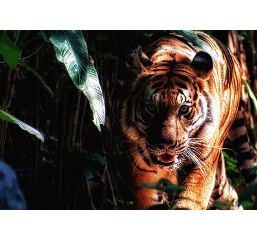 Walking tiger in the jungle mural wallpaper - TenStickers