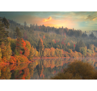 Colourful trees and calm lake tree wall mural - TenStickers