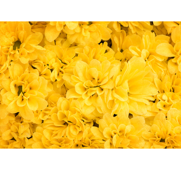 Flower petals Yellow wall mural - TenStickers