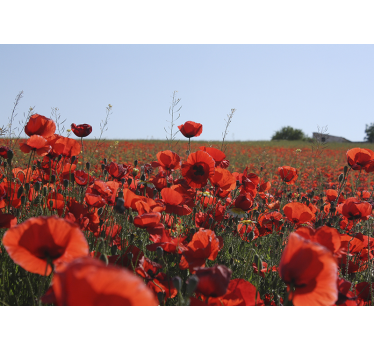 Grass field with roses flower wall mural - TenStickers