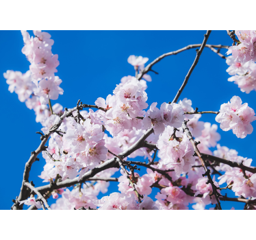 Cherry Tree landscape wall mural - TenStickers
