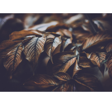Golden Leaves mural wallpaper - TenStickers