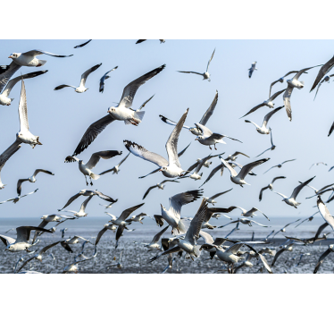 Flying seagulls mural wallpaper - TenStickers