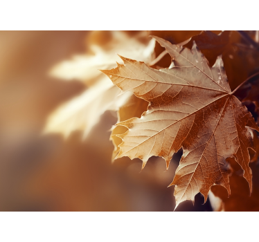 Autumn leaf mural wallpaper - TenStickers