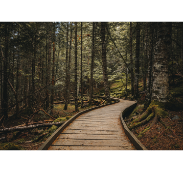 3D trail into forest wall mural - TenStickers