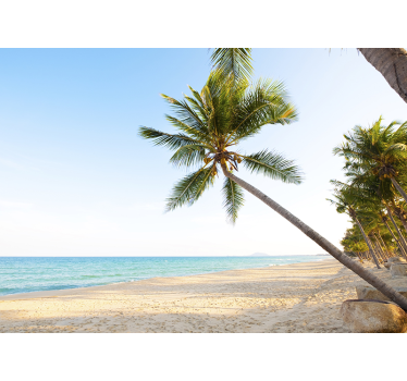 Nature wall mural coastal palm landscape - TenStickers