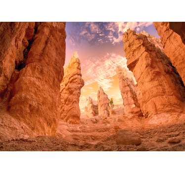 Rose Canyon wall mural - TenStickers