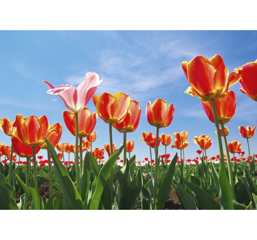 Tulip on the blue sky flower wall mural - TenStickers