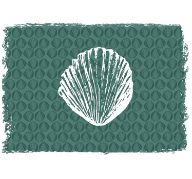 Modern wall mural shell pattern design - TenStickers