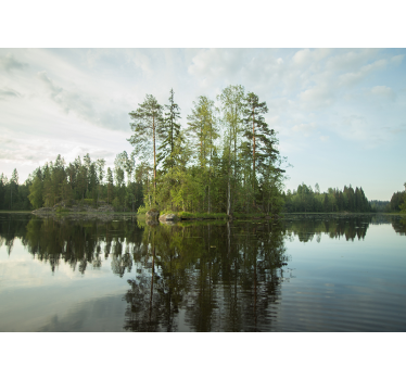 Landscape mural wallpaper serene forest reflection - TenStickers